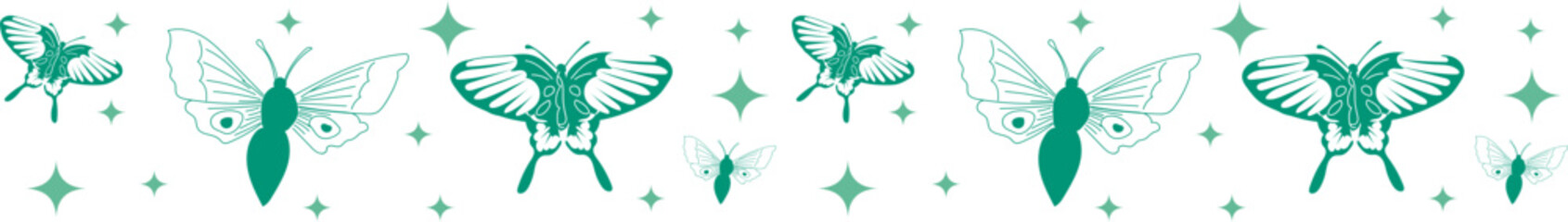 Insect with star line border on transparent background.
