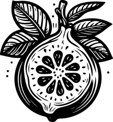 Fototapeta premium Guava black outline illustration. Coloring book.