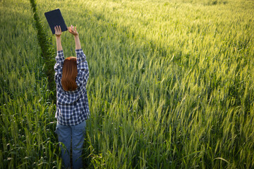 A young woman was happily in the barley field in the morning after surveying the barley harvest in...