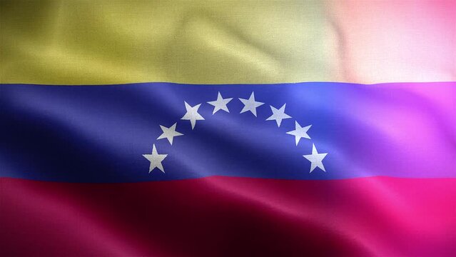 Bandera de Venezuela frontal