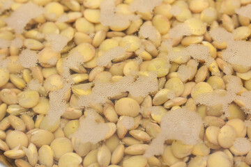lentil under water. background of lentil submerged in water. food details.