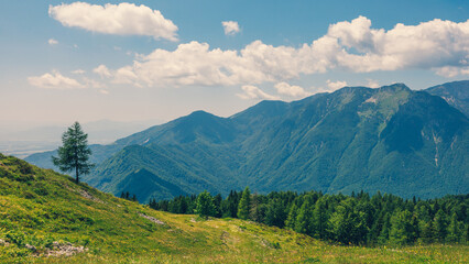 Alpine Meadows, Mountain Valley with Trees, Green Grass and Blue Sky with Clouds. Velika Planina,...