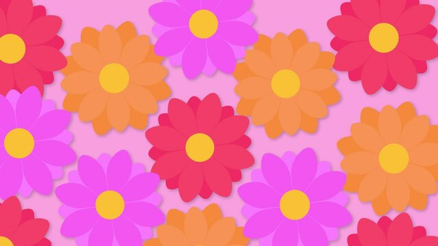 animation of colorful flowers on lilac background