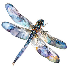 Watercolor Clipart of a Vibrant Dragonfly on White Background