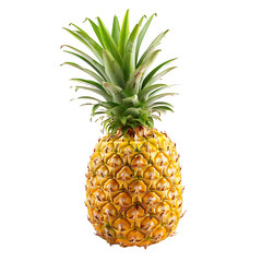 Pineapple fruit on transparent background PNG