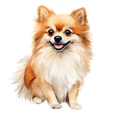 AI-Generated Watercolor cute Pomeranian Clip Art Illustration. Isolated elements on a white background.