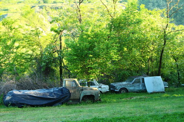 A group of cars parked in a grassy area with trees in the background