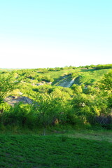 A grassy hill with trees and a body of water in the distance