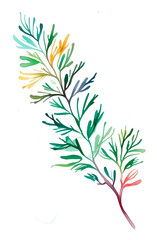 Watercolor multicolored branches. Branch with leaves watercolor design for printing on a postcard, invitation, packaging. Bright summer colors on the leaves.