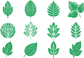 Green Leaf Vector Illustration ,EPS-10