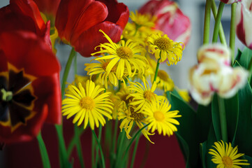 red and yellow flowers