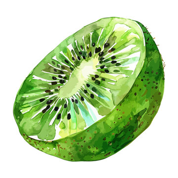 recommend clip art: Watercolor of a kiwi, isolated on a white background, kiwi vector, kiwi clipart, kiwi art, kiwi painting, kiwi Graphic, drawing clipart.