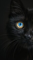   A tight shot of a black cat's face reveals a striking blue and yellow iris within each eye