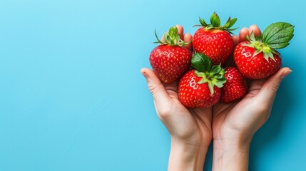   Person holds bunch of strawberries against blue backdrop, green leaf atop - Powered by Adobe