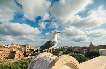 A majestic seagull perches gracefully on a stone ledge, gazing out over a sprawling metropolis...