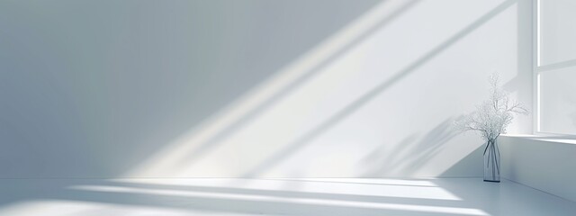 a white room with a window and a vase with flowers in it and a long shadow on the wall..