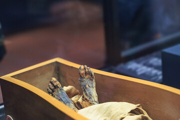A mysterious and intriguing scene unfolds as a persons foot emerges from a wooden box, hinting at a...