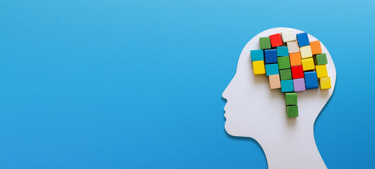 Mental health concept. Human brain made of multi-colored wooden blocks.