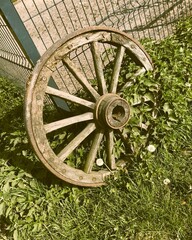 Antique wooden horse-drawn carriage wheel