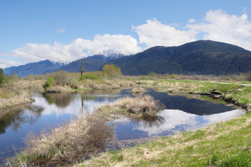 Pitt River Dike Scenic Point during a spring season in Pitt Meadows, British Columbia, Canada