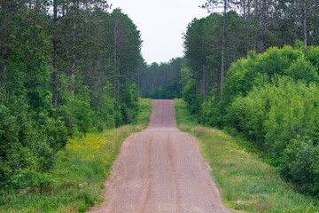A rural dirt road cuts through the forest of the northwoods of Wisconsin.