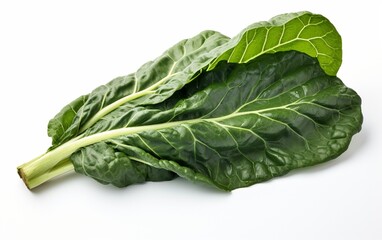 Collard Green on White Background