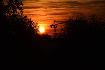 couhcer de soleil grue