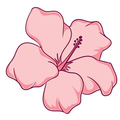 hibiscus flower with color hand draw style