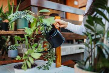 One young caucasian woman is taking care of her plants using plant mister and water can	
