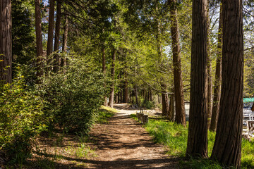 The  south shore trail in Lake Arrowhead in California. Shot 3 May 2024.