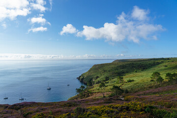 L'Anse St Nicolas sur la presqu'île de Crozon : falaises verdoyantes, bruyères violettes, ajoncs jaunes, et quelques bateaux sur la mer d'Iroise en été, une scène typique de la Bretagne.
