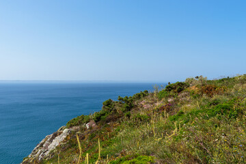 Une végétation luxuriante estivale s'étend fièrement face à la majestueuse mer d'Iroise, créant un paysage vivant et vibrant sur la presqu'île de Crozon, une invitation à la découverte de la nature br