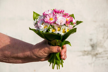 A beautiful bouquet of pink and white daisies, a lovely gesture of creativity in flower arranging,...