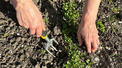 woman using a rake to remove weeds from the ground, with a gesture of their hand and fingers...