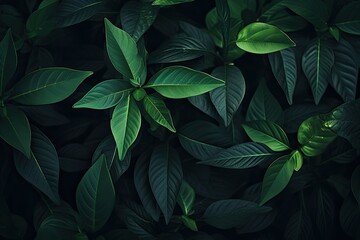 Lush green tropical foliage background