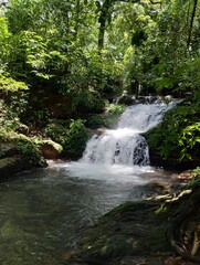 Fototapeta premium waterfall in the forest