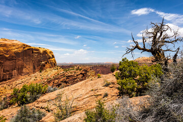 Views from Alcove Spring Trail at Canyonlands National Park.