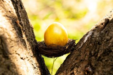 Chicken golden egg in a nest on a tree on the street, Easter