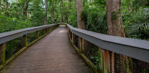 Boardwalk Trail at Silver Springs State Park, Florida