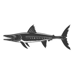 Fototapeta premium Silhouette Barracuda animal black color only