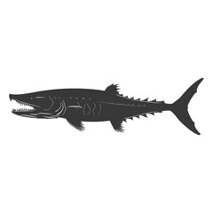 Obraz premium Silhouette Barracuda animal black color only