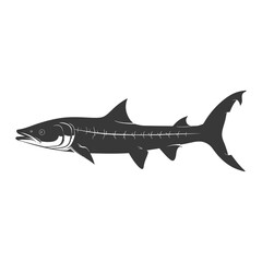 Obraz premium Silhouette Barracuda animal black color only