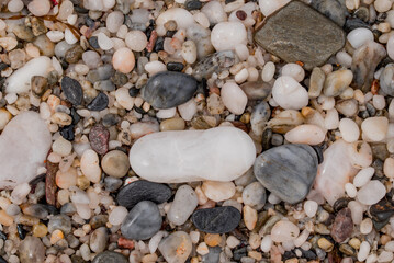 small sea stone pebble background. Multicolored abstract