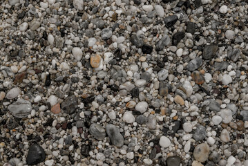 small sea stone pebble background. Multicolored abstract