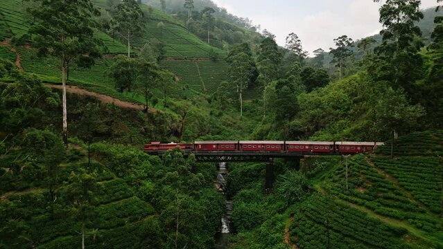 Aerial of red train crosses lush green plants on Nanu Oya viaduct, tea plantations surround as waterfalls flow below in Sri Lanka hill country, showcasing picturesque rail travel.