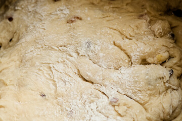 Kneaded dough with raisins. Preparation for Easter cake. Close up view. Orthodox Easter in eastern Europe. 