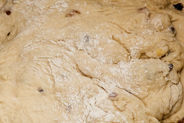 Kneaded dough with raisins. Preparation for Easter cake. Close up view. Orthodox Easter in eastern Europe. 