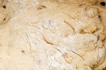 Kneaded dough with raisins. Preparation for Easter cake. Close up view. Orthodox Easter in eastern Europe. 