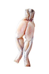 Naklejka premium frog leg food raw meat fresh cooking meal food snack on the table copy space food background rustic top view