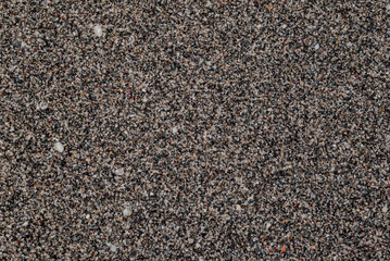 small sea stone pebble background. Multicolored abstract